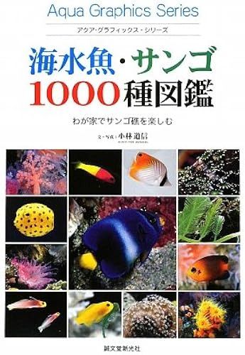 1000 ()