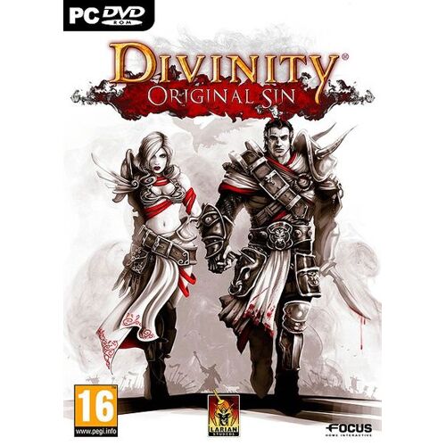 Divinity - Original Sin PC
