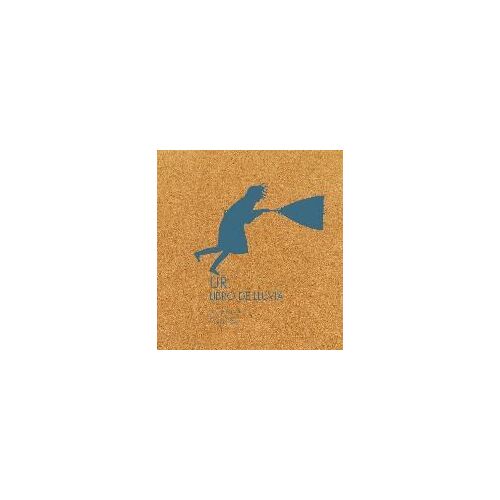 Igerabide, J: Ur. Libro De Lluvia