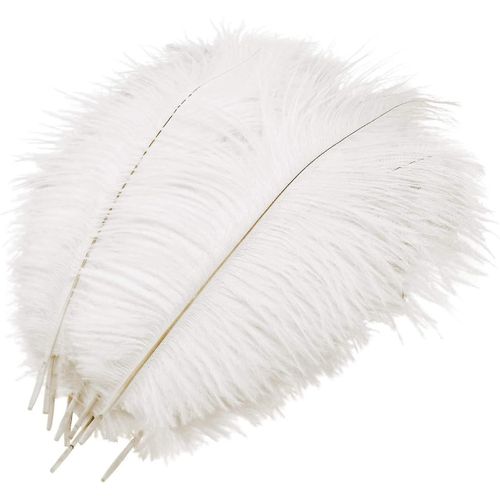 10 Pcs Plumes D¿Autruche Naturelles, Pour La Décoration De Table De Fête De Mariage
