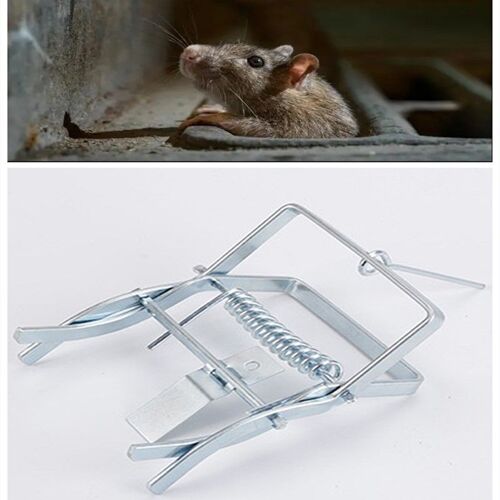 Piège à souris et à griffes, piège à souris, piège à poulpes, élimination rapide, piège à Rat multifonction, outil de chasse antiparasitaire