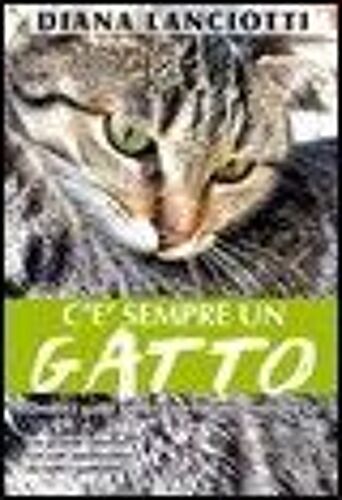 C'è Sempre Un Gatto. Dodici Gatti Unici Con Finale A Sorpresa