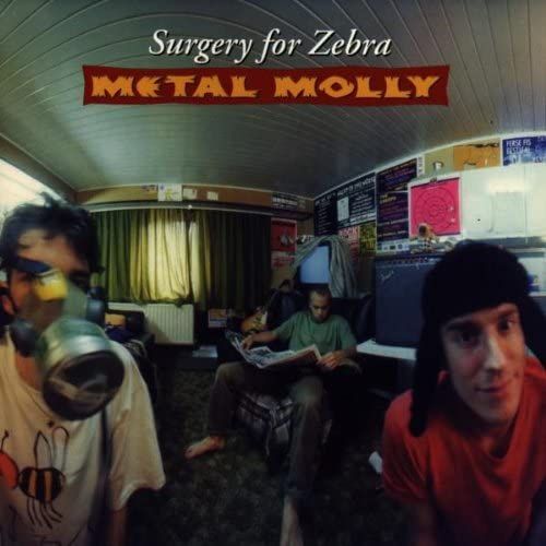 Surgery For Zebra