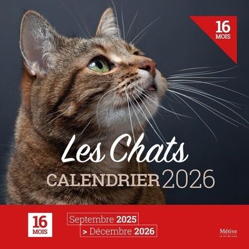 Calendrier Des Chats - Edition 2026