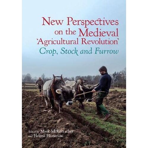New Perspectives On The Medieval 'agricultural Revolution'