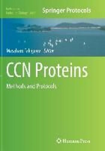 Ccn Proteins