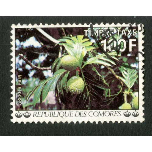Timbre Oblitéré République Des Comores, Arbre À Pain, Timbre Taxe 100 F