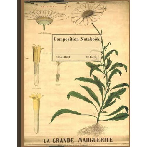 Composition Notebook: Beautiful Vintage Botanical Illustration "Big Daisy" Copy Of Educational Poster By French Naturalist Émile Deyrolle 200 Pages (Vintage Composition Notebooks)