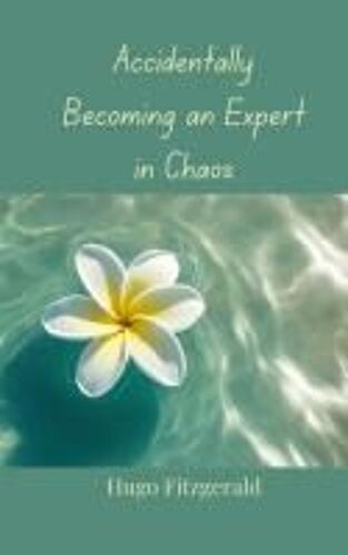 Accidentally Becoming An Expert In Chaos