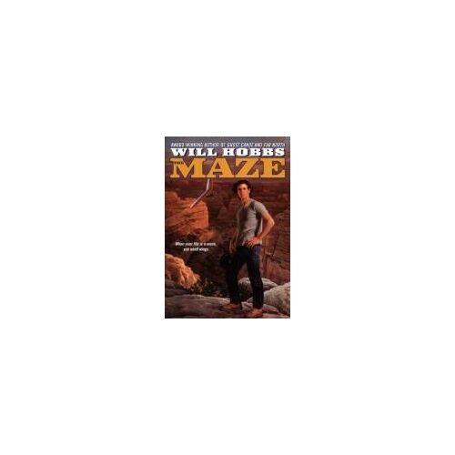 The Maze