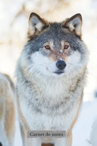 Carnet De Notes: Loup Sous La Neige Cahier De Notes Ligné 108 Pages 15,24x22,86 Cm 6x9 Idée Cadeau Pour Amateur De La Vie Sauvage Belle Photo