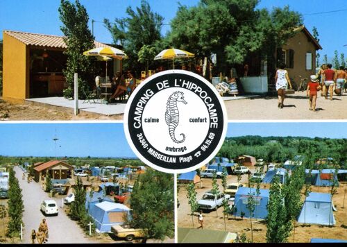 Carte Postale De Marseillan Plage (Hérault) Camping De L' Hippocampe : 4 Vues