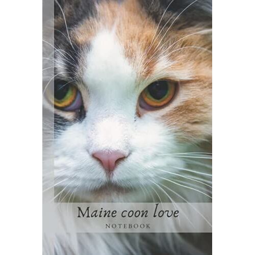 Maine Coon Love Notebook: Carnet Ligné Carnet De Note Notebook Cahier Personnaliser - Journal Intime - Cahier Scolaire