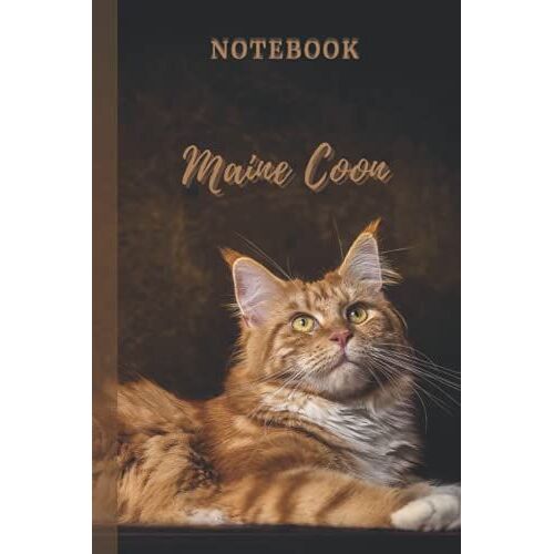 Notebook Maine Coon: Carnet Ligné Carnet De Note Notebook Cahier Personnaliser - Journal Intime - Cahier Scolaire