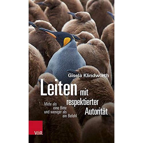 Leiten Mit Respektierter Autorität