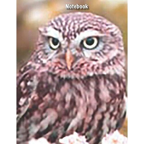 Notebook: Owl Print, Wildlife Notebook, Benevolent Bird Series: College-Ruled Lined Paper 110 Pages - Large 8.5 X 11 Composition Notebook Journal ... Brainstorming, And Strategy Planning.