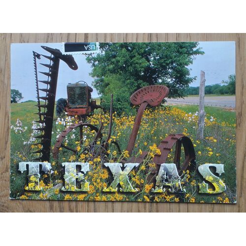 Carte Postale Texas. Fleurs Des Champs. Texas, Usa, Etats-Unis , Amérique 2001