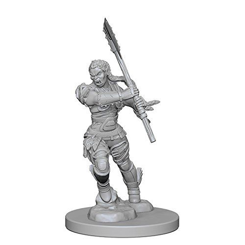 Wizkids Pathfinder Deep Cuts Unpainted Miniatures Half-Orc Female Barbarian