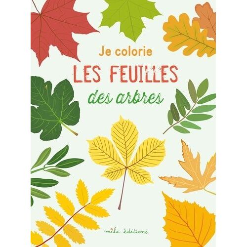 Je Colorie Des Feuilles Des Arbres