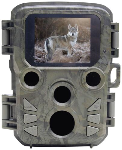Caméra De Chasse Braun Phototechnik Black 800 Mini 20 Mill. Pixel