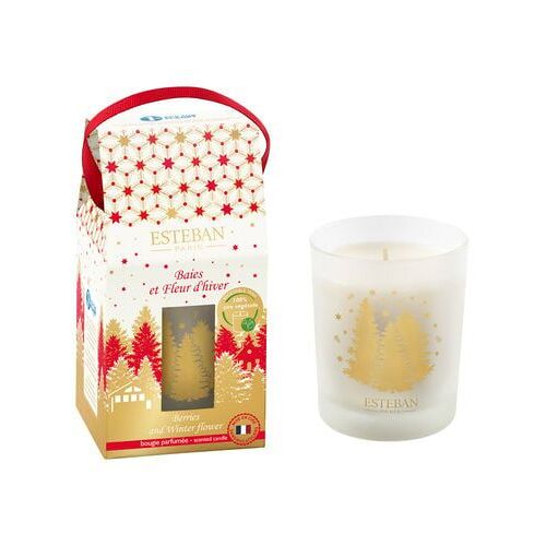 Esteban Paris Parfums - Bougie parfumée - baies et fleurs d'hiver 180 g  - Beige