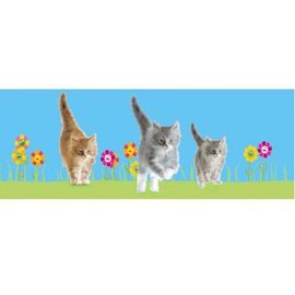 Marque-Page Lenticulaire Chat