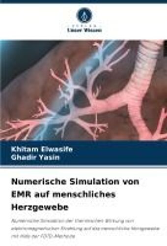 Numerische Simulation Von Emr Auf Menschliches Herzgewebe