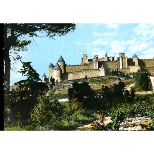 Carte Postale De Carcassonne (Aude) La Cité Vue Du Côté Sud (Réf.2c)