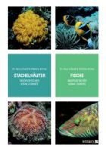 Stachelhäuter/Fische Indopazifischer Korallenriffe