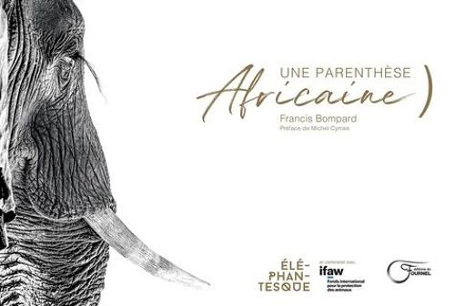 Une Parenthèse Africaine