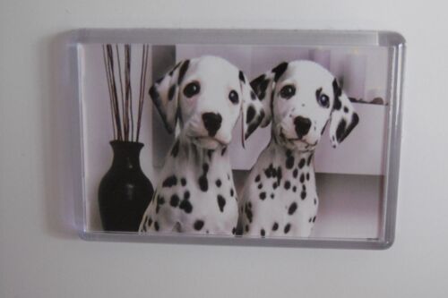 Magnet Dalmatien : 7,5x5cm.