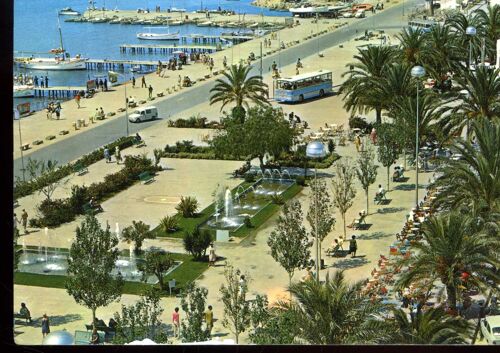 Carte Postale D' Ibiza (Espagne) San Antonio : Promenade De La Palmeraie