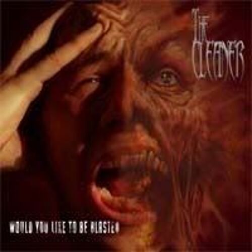 The Cleaner - Would You Like To Be Blasted