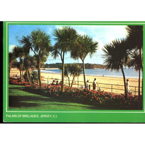 Carte Postale De La Côte De Saint-Brélade (Jersey) Plage Et Palmiers