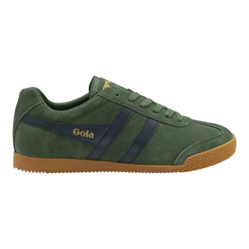 Harrier Suede