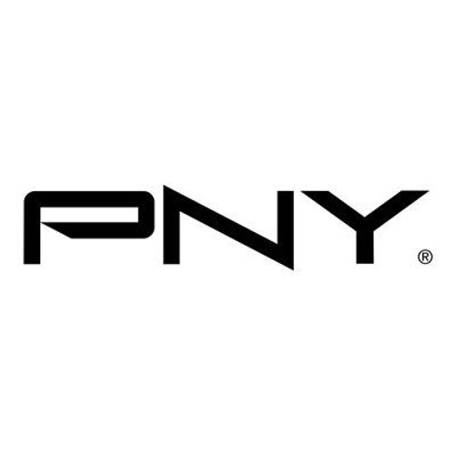 PNY Pro Elite - SSD - 250 Go - externe (portable) - USB 3.1 Gen 2 - argent brossé