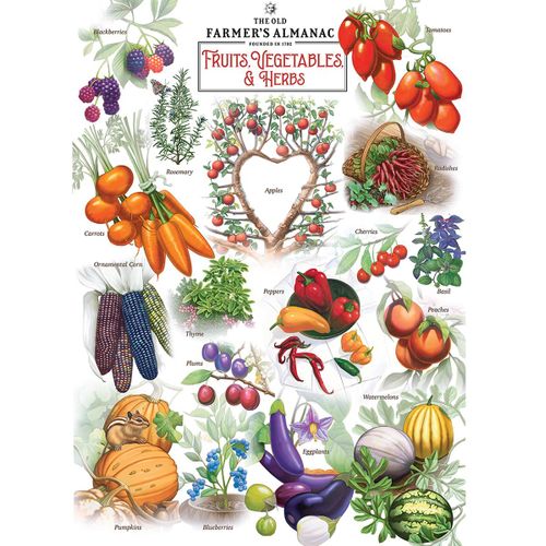 Fruits et Légumes - Puzzle 1000 pièces