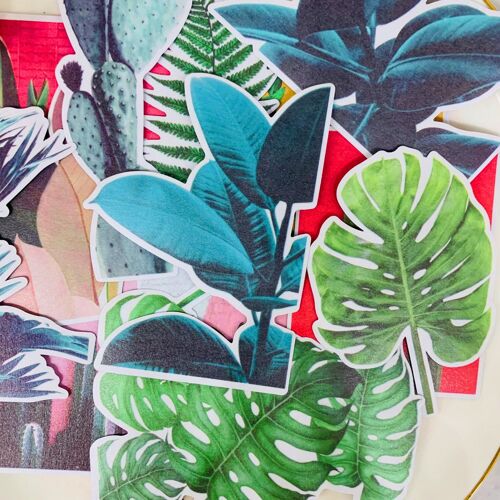 Autocollants Tortue Verte Posée, 15 Pièces, Autocollants De Livre Faits Maison Pour Enfants Sur Ordinateur Portable/Scrapbooking Décoratif/Bricolage