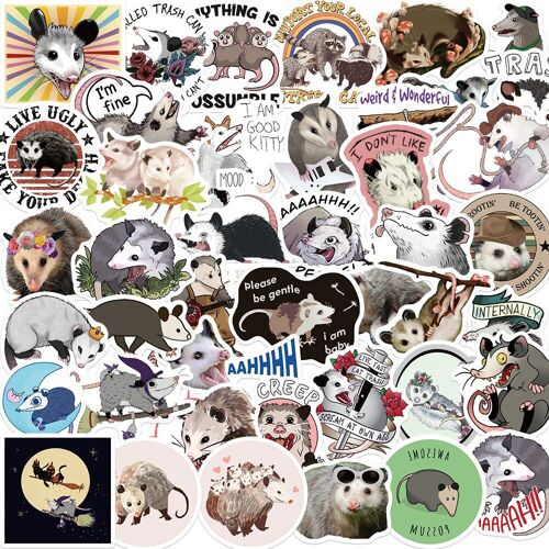 Autocollants Opossum Dessin Animé Pour Enfants, 50 Pièces, Autocollants Pour Moto, Skateboard, Ordinateur Portable, Bagages, Pegatinas
