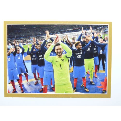 Carte Panini France Fff N°96
