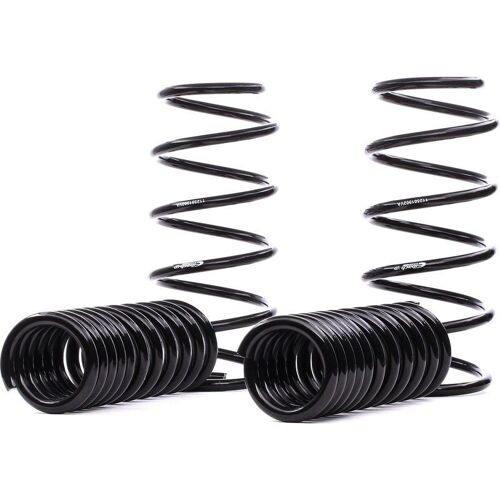 Eibach Jeu De Suspensions, Ressorts Mercedes-Benz E10-25-019-02-22