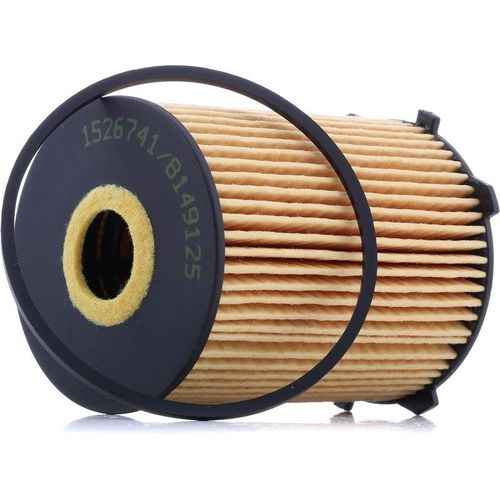 Ridex Filtre À Huile Ford,Fiat,Peugeot 7o0013 11427805978,7805978,1109an Filtre D'huile 1109ay,1109r6,1109t3,1109y2,1109z5,1109z6,1680233480,E149103