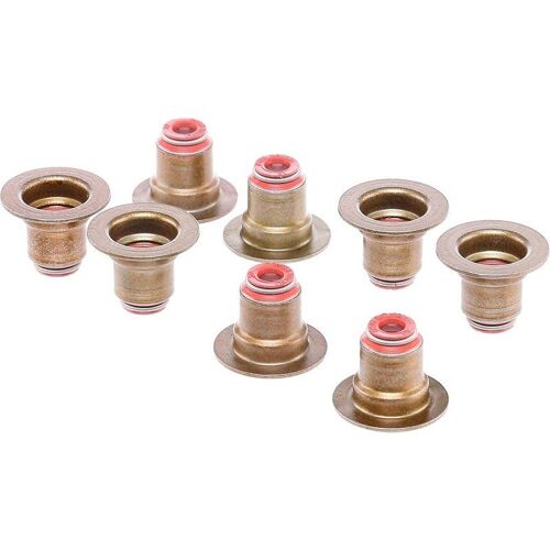 Reinz Jeu De Joints D'étanchéité, Tige De Soupape Opel,Ford,Fiat 12-35548-01 0956508x,11459378x,Y401101558x  Mn9825128x,36423838x,0956508x,313301848x