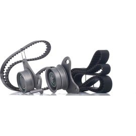 Ina Kit De Distribution Hyundai,Kia,Volvo 530 0109 10 2335642500,2335742010,2335742020 Kit Courroie De Distribution,Kit De Courroie De Distribution