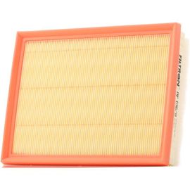 Filtron Filtre À Air Opel,Peugeot,Toyota Ap 196,9 9813908880,39192256,9813908880  9813908880,Su001a7906
