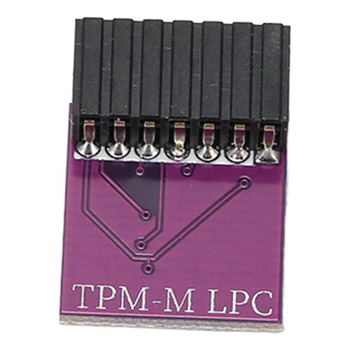 Module de sécurité de cryptage TPM 2.0 Interface LPC 14 broches Module TPM 2.0 pour Win11 2.0 pour plate-forme ASUS Violet