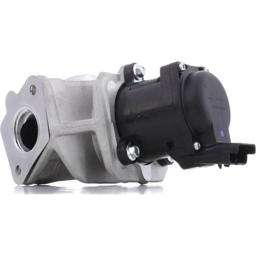 Delphi Vanne Egr Ford,Fiat,Peugeot Eg10401-12b1 161859,1618nr,1619 Valve Egr,Egr,Soupape Egr 9672880080,1338675,1439414,1479057,1526689,1682737,161859