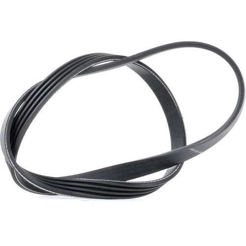 Dayco Courroie Poly-V Fiat,Iveco,Man 4pk903ee 504066407,504066407,5802102136