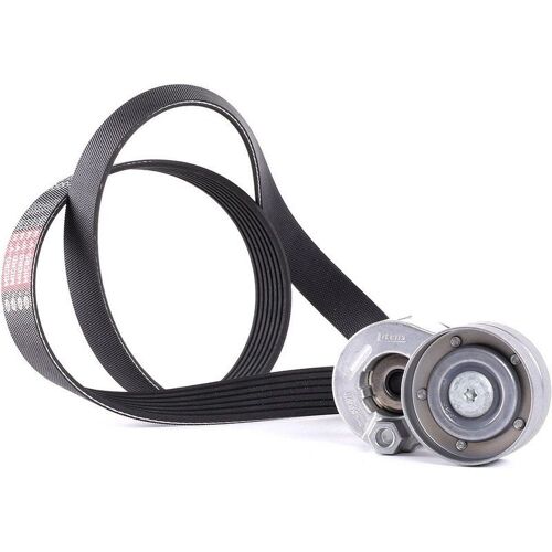 Gates Jeu De Courroies Trapézoïdales À Nervures Renault K017pk1125 7701477515 Kit De Courroies D'accessoire,Kit Complet Courroie D'accessoire