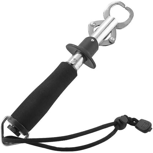 Grappin De Poisson Pour Engins De Pêche - Grapple À Lèvres En Acier Inoxydable, Accessoires D¿Équipement De Pêche En Acier Inoxydable Grappin De Poisson (Avec Boîte À Poisson Nominale (Boîte De Conser